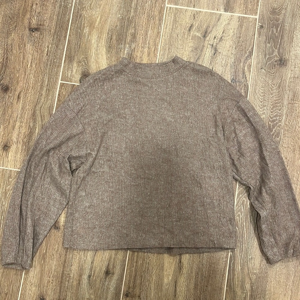 Brown Zara Sweater